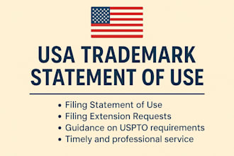 expertly file notice of allowance or statement of use