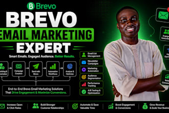 brevo email marketing mailchimp campaign klaviyo flows gohighlevel expert