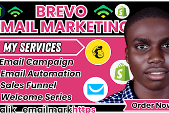 brevo email marketing mailchimp campaign klaviyo flows gohighlevel expert