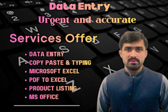 do urgent data entry, copy paste, product listing,  and typing services