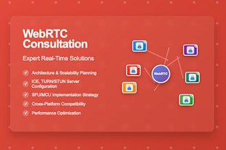 provide webrtc expert consultation