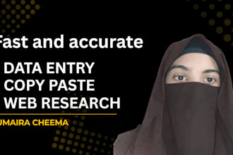 do manual data entry , web research , copy paste