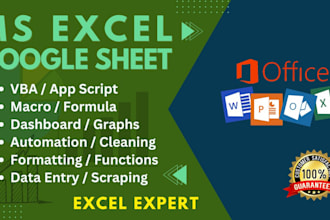 do excel data entry, copy paste, and website data entry tasks  professionally