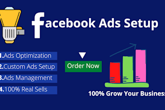 set up and manage your facebook and instagram ads campaign