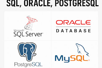 provide professional database services