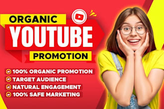 do organic youtube video promotion to your niche target audience for growth