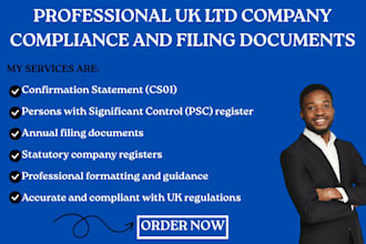 prepare professional UK ltd company compliance and filing documents