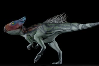 model 3d animal, human creature, microceratus, dinosaur,zombie for game,printing