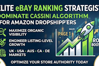 be your professional ebay virtual assistant