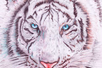 create professional hand drawn editorial illustrations