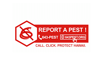 design dynamic species reporting pest logo