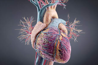create your 3d medical anatomy scientific biomedical