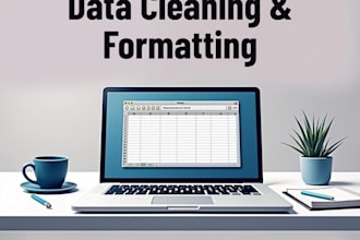 clean,format,and organize raw data in excel or CSV