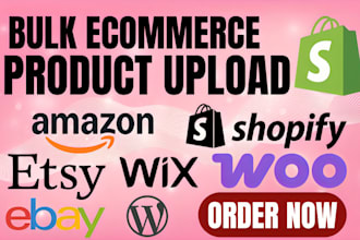 do bulk product upload via csv, product listing, data entry for ecommerce store