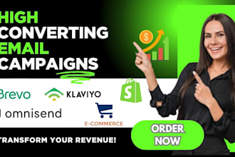 setup brevo, omnisend, klaviyo email campaigns to boost sales