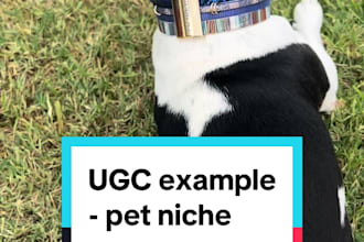 create pet ugc video ads for dog accessories, pet vlogs, pet service and brands