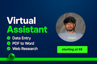 do accurate data entry, copy paste, PDF to word conversion and web research