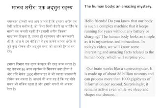 translate hindi to english  english to hindi professionally