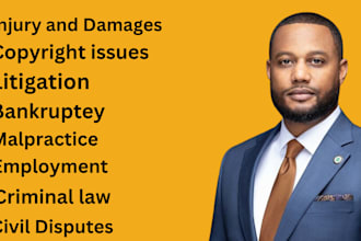 draft legal paperwork, contracts, agreements, and assist with litigation