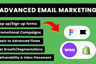 manage klaviyo from basic to advance for ecommerce brand