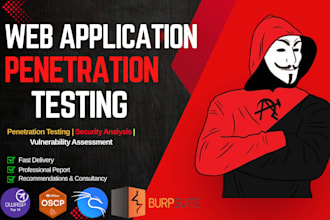 provide website security penetration testing security test