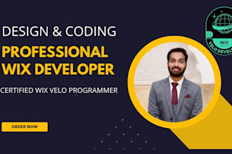 develop a professional wix website with custom velo code and databases
