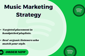place your song in real spotify playlists