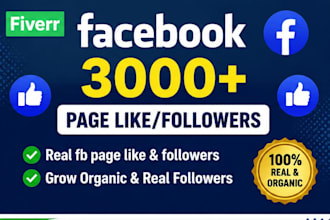 get you 3000 real facebok followers high quality service