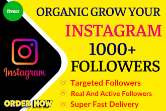 provide 2,000 instagram followers fast