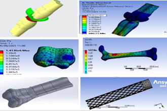 assist in biomechanics biomaterials biomedical mechanobiology and ergonomics