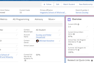 do salesforce development customization and support