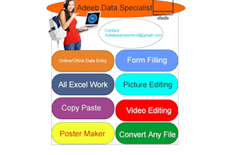 data entry in ms office excel data management file coveret