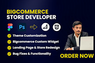 develop bigcommerce store with custom reusable widgets