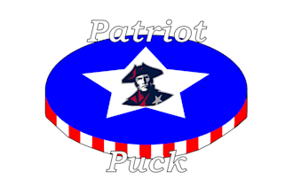 design elegant minimal patriot puck logo