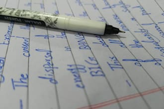 be your professional handwriting assignment work expert