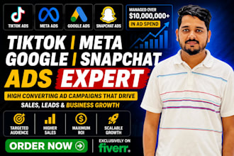 manage tiktok, meta, google and snapchat ads campaigns