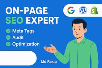 do professional on page SEO with meta tags, audit and optimization for wordpress