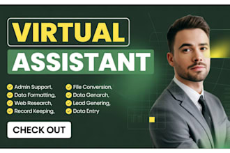 provide admin support, maintaining files, virtual assistant