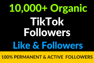 add many real active followers on tiktok 1k 3k 5k fast