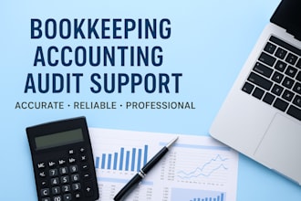 do bookkeeping, accounting, and audit support tasks