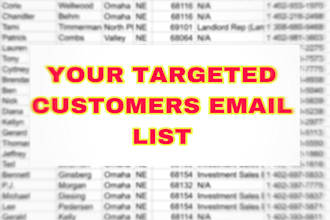 build an email list of your targeted customers