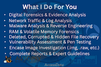 do malware analysis, reverse engineering, and threat detection