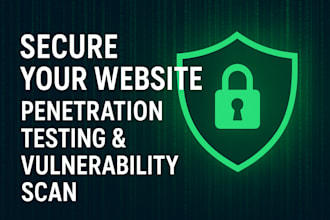 do website vulnerability assessment and penetration testing