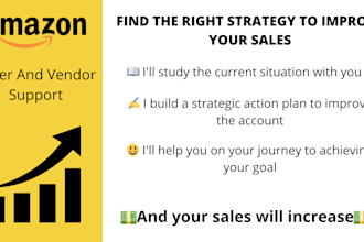 help amazon seller or amazon vendor account to make a custom strategy