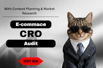 audit your online business to increase your revenue,conversion optimisation,cro