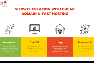 provide domain and hosting with professional website