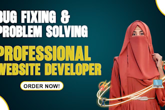professional website bug fixing expert