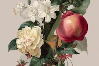 design vector botanical illustrations of flowers