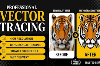 do vector tracing or redraw logo