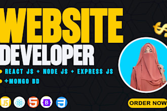 experienced mern stack web developer